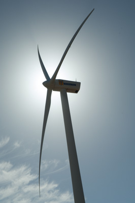 December 2007 / X_MAS_07_TRP8157 copy_071229