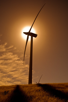 December 2007 / X_MAS_07_TRP8159_071229