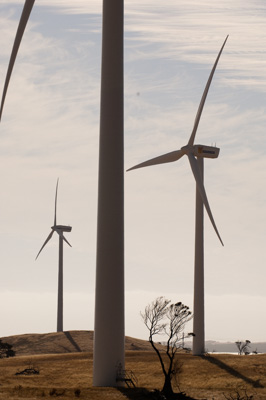 December 2007 / X_MAS_07_TRP8170_071229