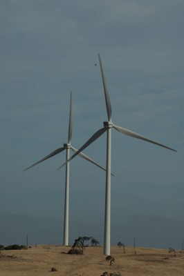 December 2007 / X_MAS_07_TRP8176_071229