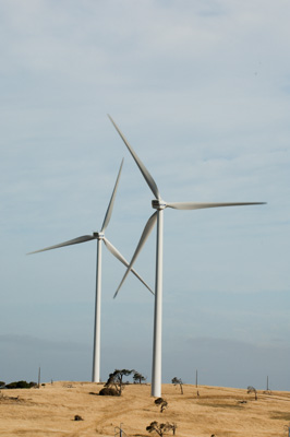 December 2007 / X_MAS_07_TRP8179_071229