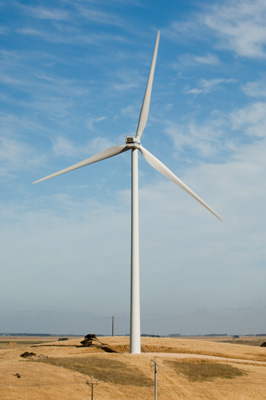 December 2007 / X_MAS_07_TRP8180_071229