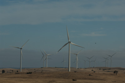 December 2007 / X_MAS_07_TRP8184_071229