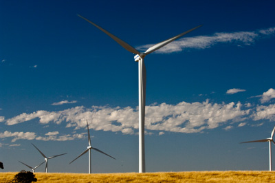 December 2007 / X_MAS_07_TRP8186_071229