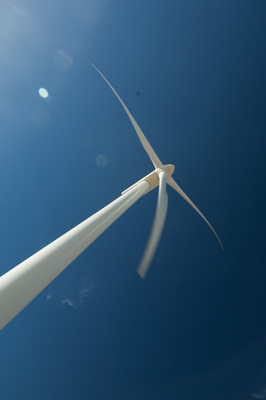 December 2007 / X_MAS_07_TRP8207_071229