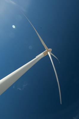 December 2007 / X_MAS_07_TRP8209_071229