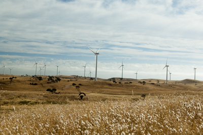 December 2007 / X_MAS_07_TRP8250_071229