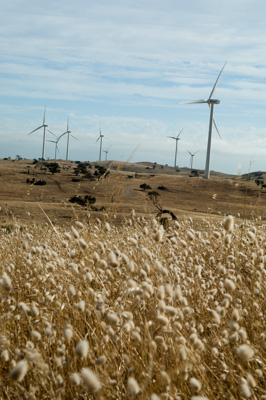 December 2007 / X_MAS_07_TRP8257_071229