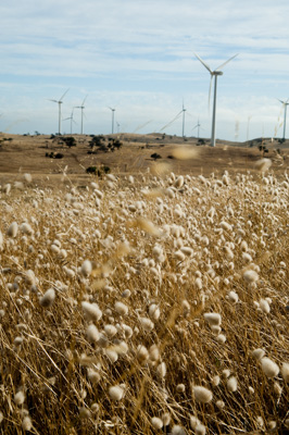 December 2007 / X_MAS_07_TRP8258_071229