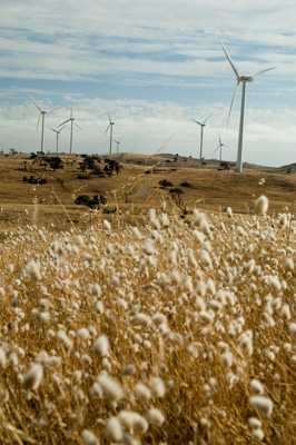 December 2007 / X_MAS_07_TRP8261_071229