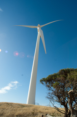 December 2007 / X_MAS_07_TRP8269_071229