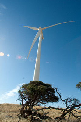 December 2007 / X_MAS_07_TRP8270_071229