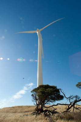 December 2007 / X_MAS_07_TRP8279_071229