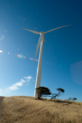 December 2007 / X_MAS_07_TRP8280_071229