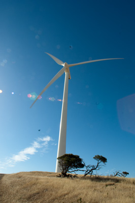 December 2007 / X_MAS_07_TRP8281_071229