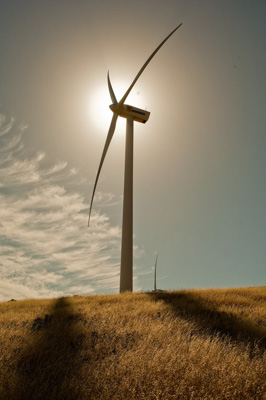 December 2007 / _TRP8155