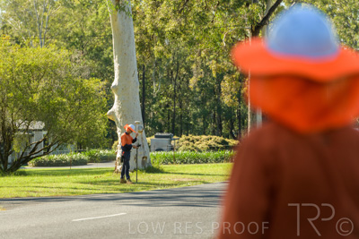 May 2021 / SURVEY_210513_0133