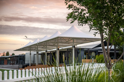 April 2023 / PEDARE-Canopy_230405_037