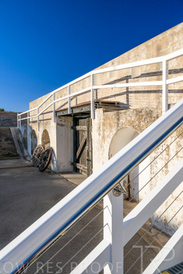 April 2024 / Fort-Glanville-240430-_Z9C4859