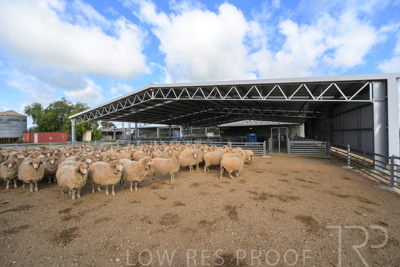 September 2025 / Roseworthy_250919_Z8C1597