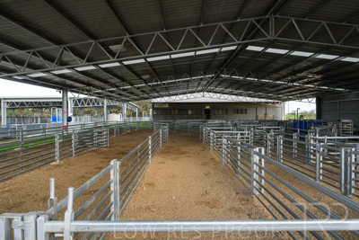 September 2025 / Roseworthy_250919_Z8C1609