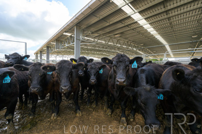 September 2025 / Roseworthy_250919_Z8C1618