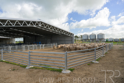 September 2025 / Roseworthy_250919_Z9C8107