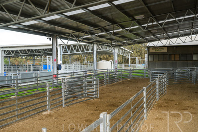 September 2025 / Roseworthy_250919_Z9C8128