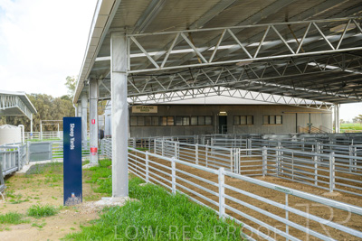 September 2025 / Roseworthy_250919_Z9C8131