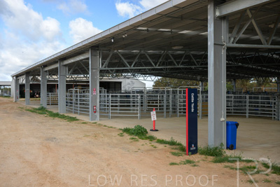 September 2025 / Roseworthy_250919_Z9C8134