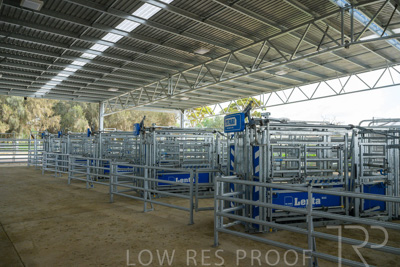 September 2025 / Roseworthy_250919_Z9C8137