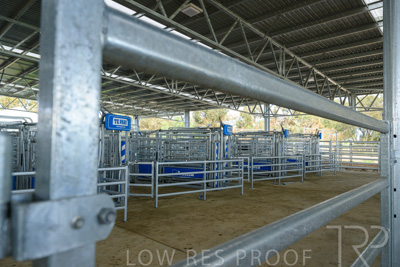 September 2025 / Roseworthy_250919_Z9C8146