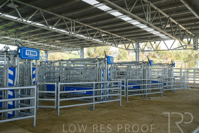 September 2025 / Roseworthy_250919_Z9C8149