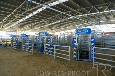 September 2025 / Roseworthy_250919_Z9C8152