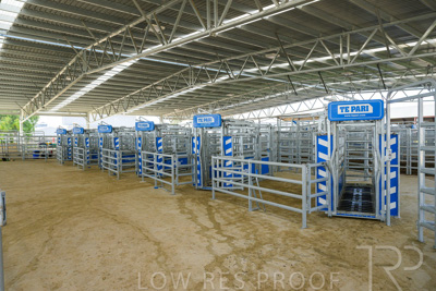 September 2025 / Roseworthy_250919_Z9C8155