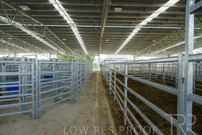 September 2025 / Roseworthy_250919_Z9C8158