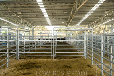 September 2025 / Roseworthy_250919_Z9C8164