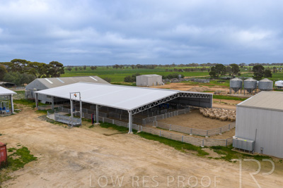 September 2025 / Rosewrothy_250919DJI_20250919074534_0159_D