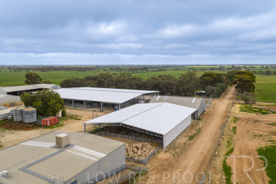 September 2025 / Rosewrothy_250919DJI_20250919074607_0164_D