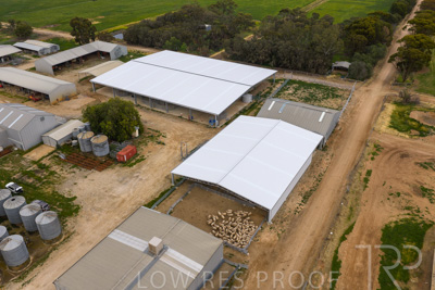 September 2025 / Rosewrothy_250919DJI_20250919074635_0169_D