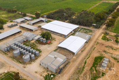 September 2025 / Rosewrothy_250919DJI_20250919074658_0174_D