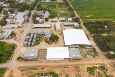 September 2025 / Rosewrothy_250919DJI_20250919074738_0184_D