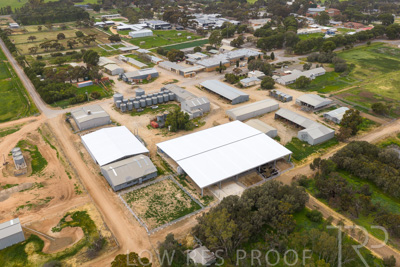 September 2025 / Rosewrothy_250919DJI_20250919074802_0189_D