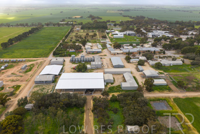 September 2025 / Rosewrothy_250919DJI_20250919074820_0194_D