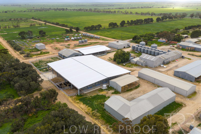 September 2025 / Rosewrothy_250919DJI_20250919074841_0199_D