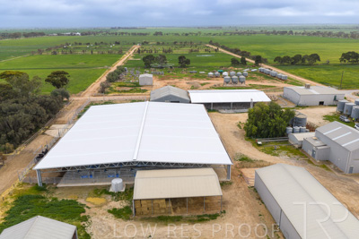 September 2025 / Rosewrothy_250919DJI_20250919074856_0204_D