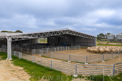 September 2025 / Rosewrothy_250919DJI_20250919075051_0219_D