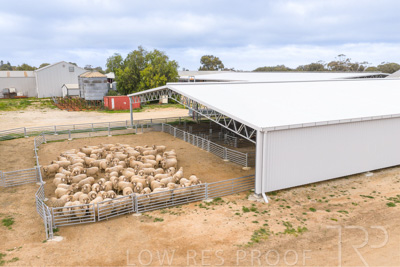 September 2025 / Rosewrothy_250919DJI_20250919075217_0229_D