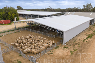 September 2025 / Rosewrothy_250919DJI_20250919075449_0259_D