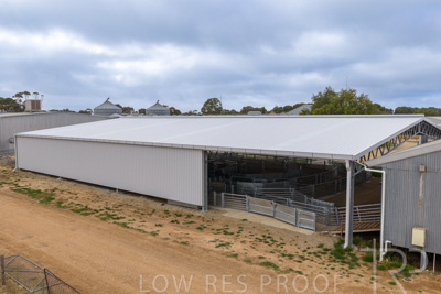 September 2025 / Rosewrothy_250919DJI_20250919075524_0264_D